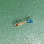Elektromotor für SUP / Kajak Aqua Marina BlueDrive X